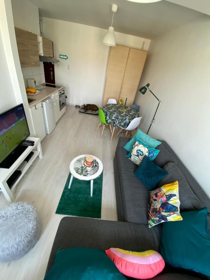 Nasze Brzezno Apartment Gdansk Bagian luar foto